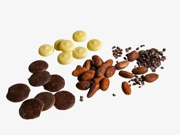 Cacao orgánico